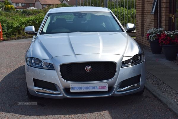 Jaguar XF DIESEL SALOON in Antrim