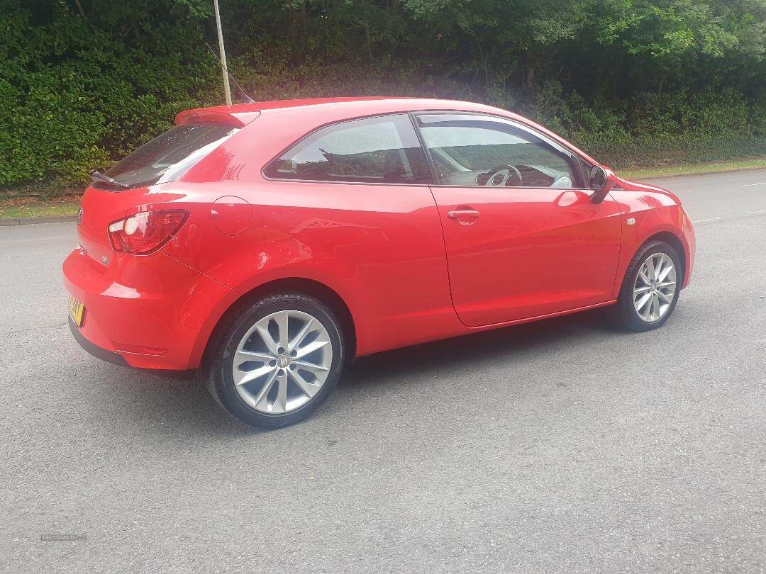 Seat Ibiza SPORT COUPE SPECIAL EDITION in Armagh