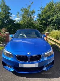 BMW 2 Series 218i M Sport 2dr Step Auto in Derry / Londonderry