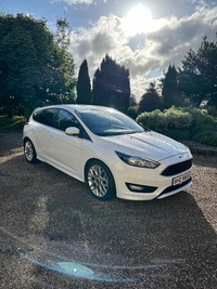 Ford Focus 1.5 TDCi 120 Zetec S 5dr in Tyrone