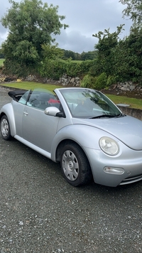 Volkswagen Beetle 1.6 2dr in Down