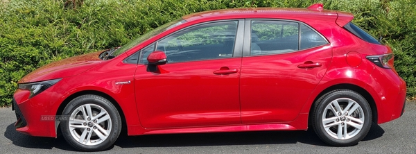 Toyota Corolla HATCHBACK in Armagh