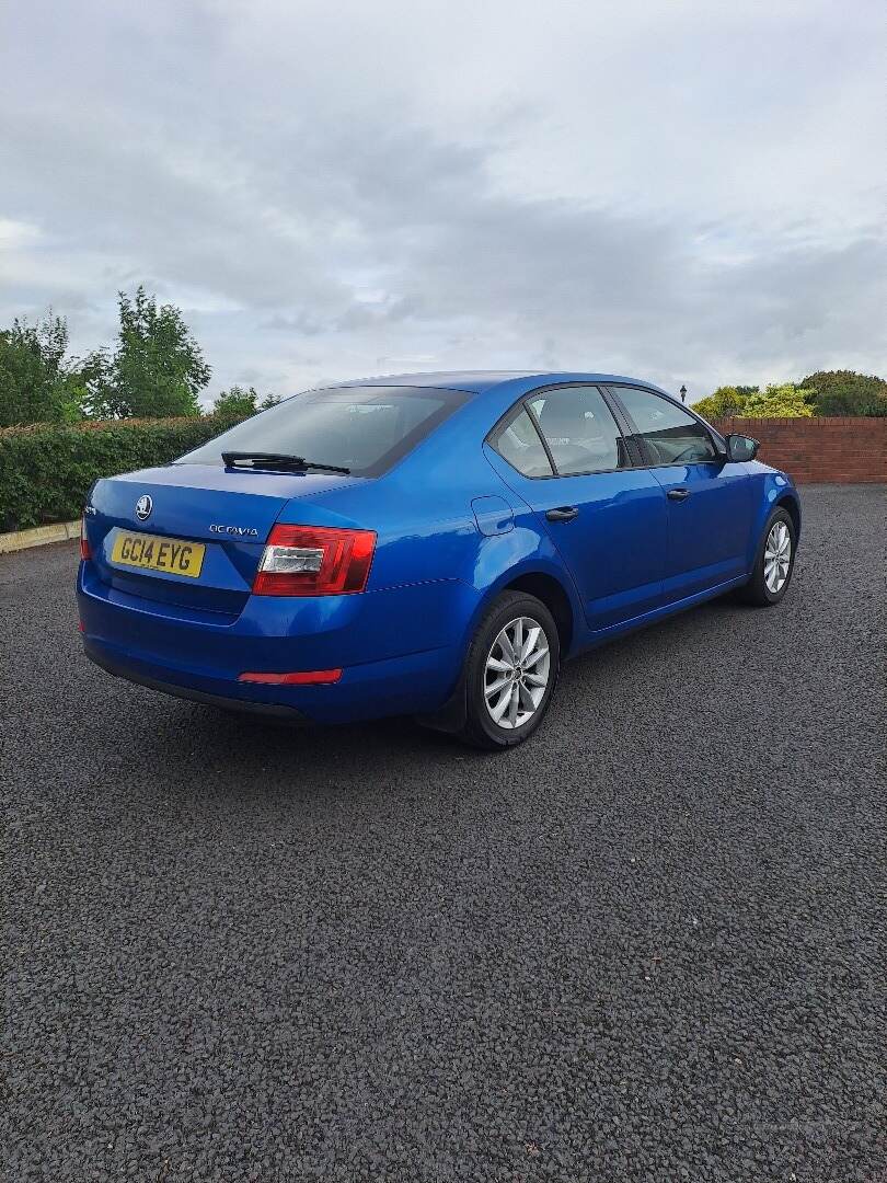 Skoda Octavia DIESEL HATCHBACK in Armagh