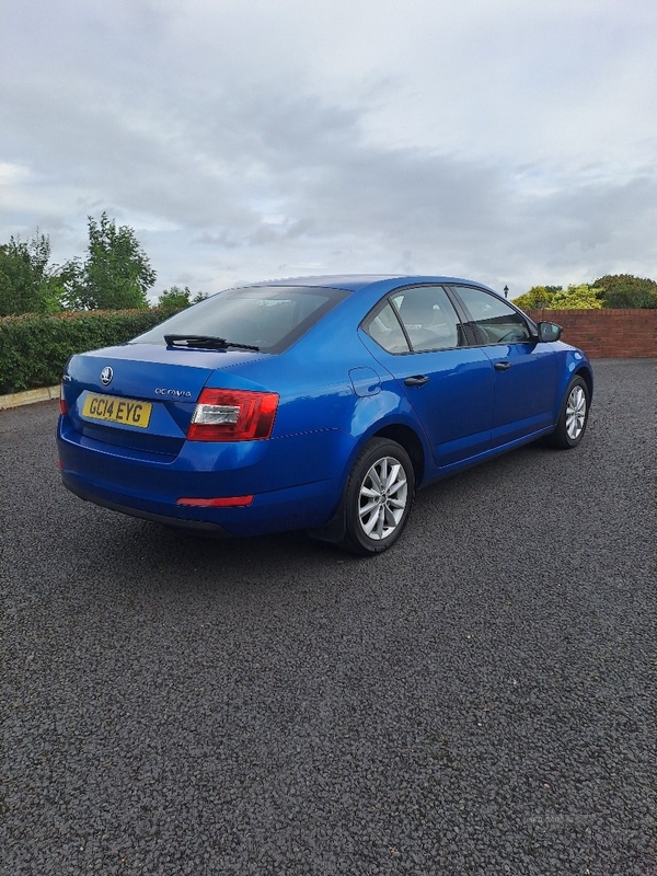 Skoda Octavia DIESEL HATCHBACK in Armagh