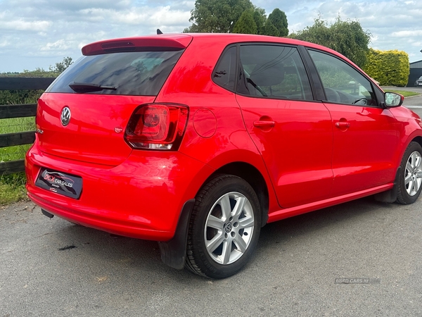 Volkswagen Polo HATCHBACK in Armagh