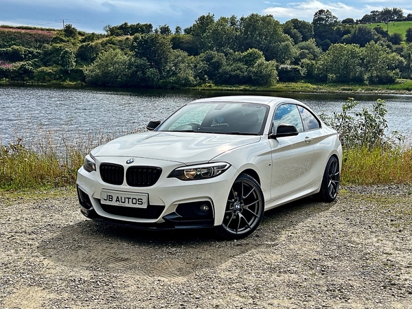 BMW 2 Series DIESEL COUPE in Derry / Londonderry