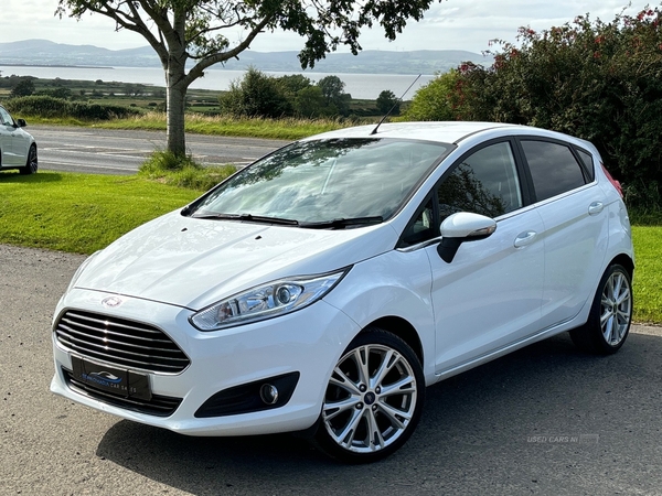 Ford Fiesta 1.5 TDCI in Derry / Londonderry