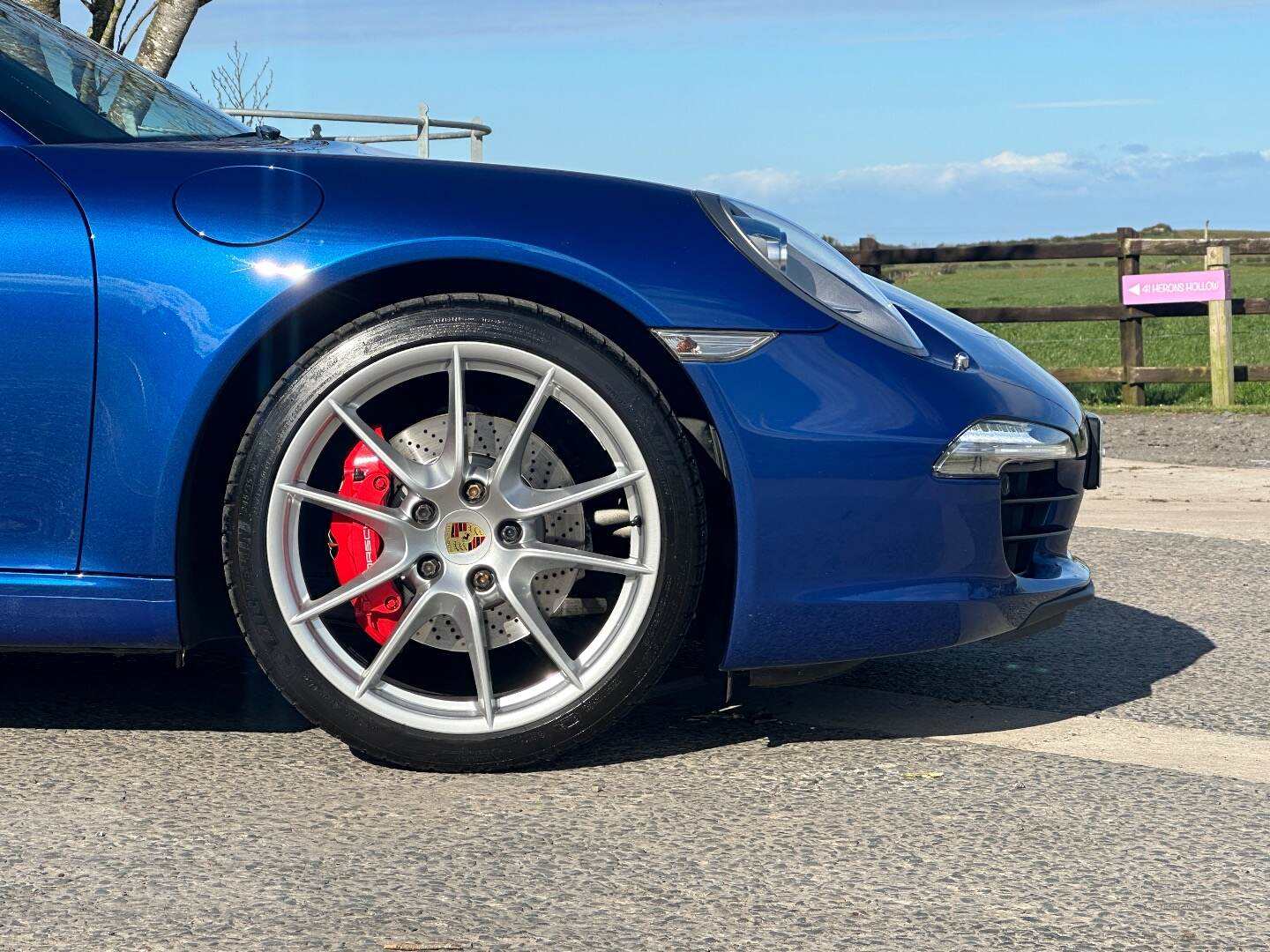 Porsche 911 [991] CARRERA COUPE in Down