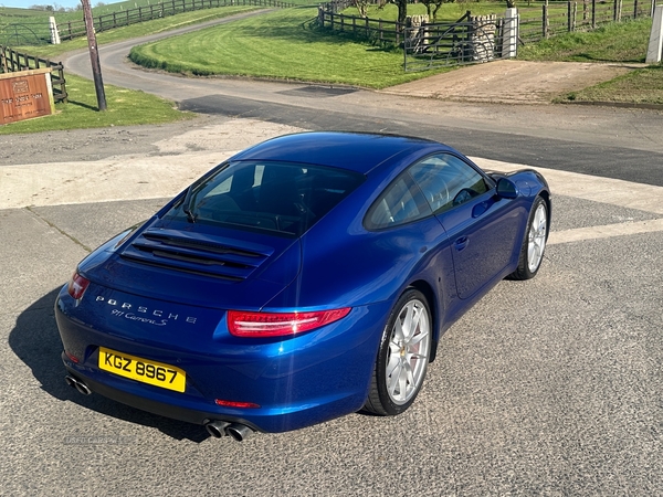 Porsche 911 [991] CARRERA COUPE in Down