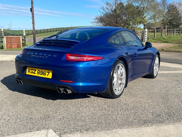 Porsche 911 [991] CARRERA COUPE in Down