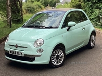 Fiat 500C 1.2 LOUNGE 3d 69 BHP in Antrim