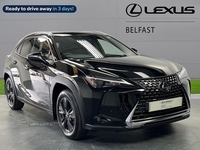 Lexus UX 250H 2.0 5Dr Cvt [Without Nav] in Antrim