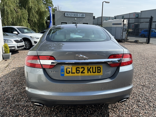 Jaguar XF DIESEL SALOON in Antrim