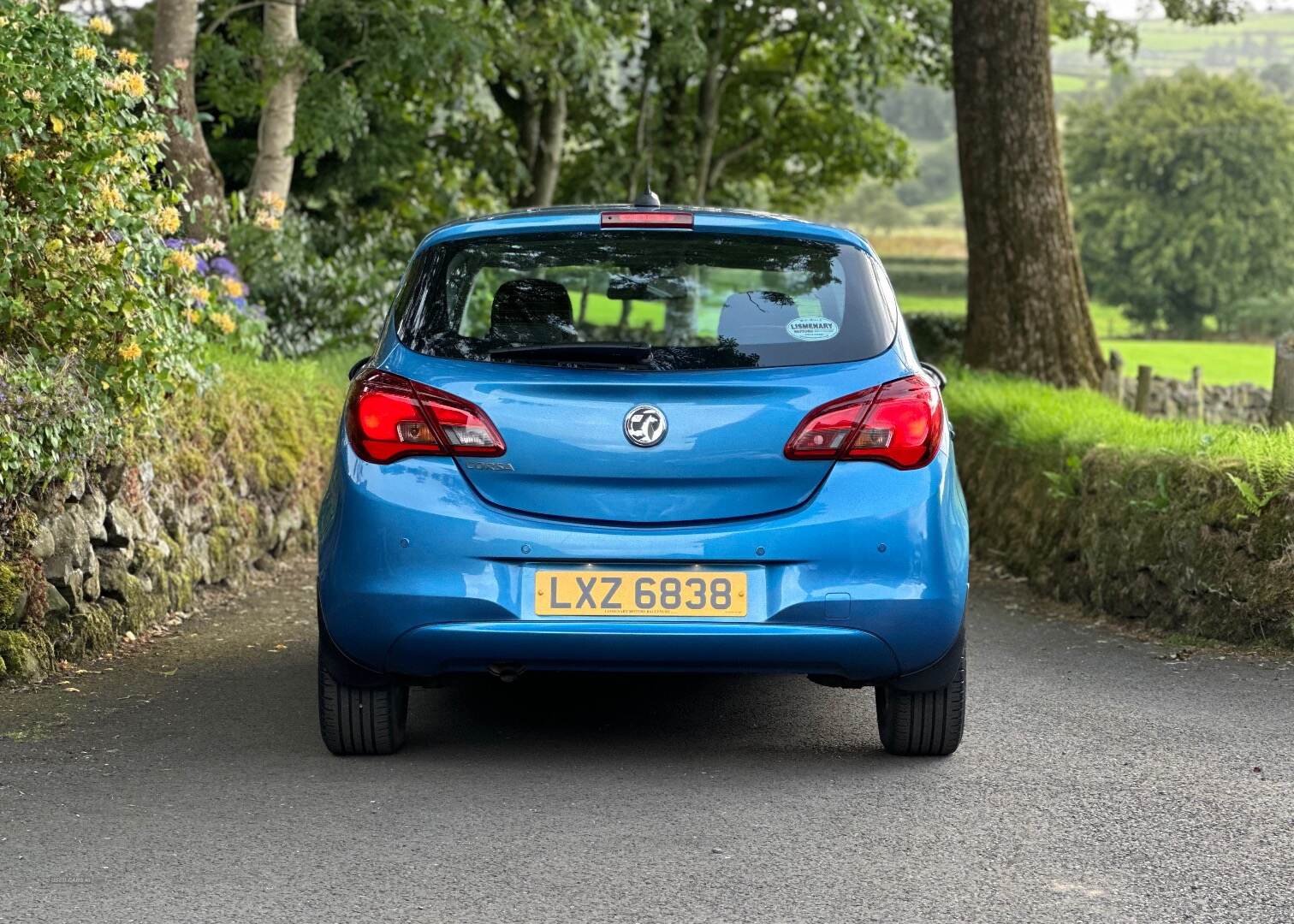 Vauxhall Corsa HATCHBACK SPECIAL EDS in Antrim