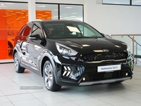 Kia Niro 2 in Tyrone