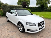 Audi A3 Cabriolet SPECIAL EDITIONS in Antrim