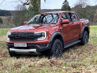 Ford Ranger PETROL in Down