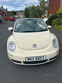 Volkswagen Beetle 1.6 Luna 2dr in Antrim