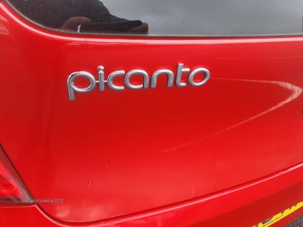 Kia Picanto HATCHBACK in Down