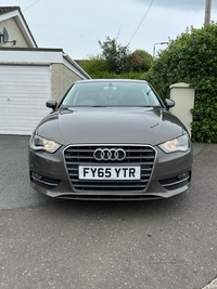 Audi A3 1.6 TDI 110 Sport 5dr [Nav] in Down