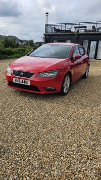 Seat Leon 1.6 TDI SE 5dr DSG in Antrim