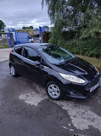 Ford Fiesta 1.6 TDCi Titanium ECOnetic 3dr in Antrim