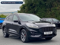 Ford Kuga 2.5 Phev St-Line Edition 5Dr Cvt in Armagh