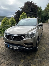 SsangYong Rexton DIESEL ESTATE in Armagh