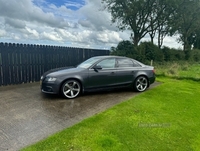 Audi A4 SALOON SPECIAL EDITIONS in Antrim