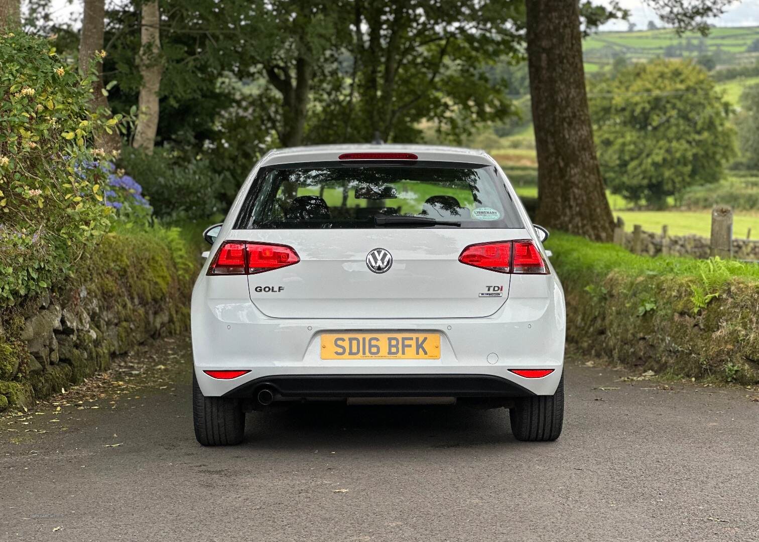 Volkswagen Golf DIESEL HATCHBACK in Antrim