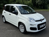 Fiat Panda HATCHBACK in Antrim