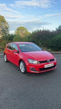 Volkswagen Golf 2.0 TDI GT 5dr DSG in Down