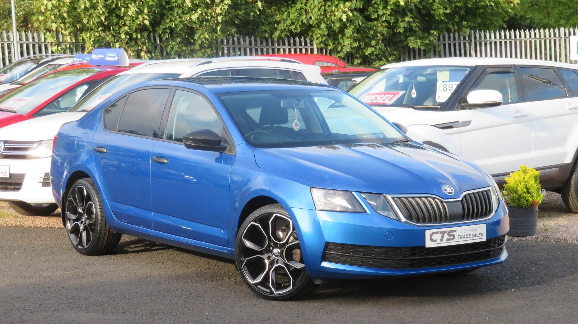 Skoda Octavia DIESEL HATCHBACK in Derry / Londonderry