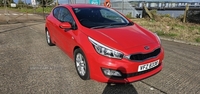 Kia Pro Ceed 1.4 SR7 3dr in Down