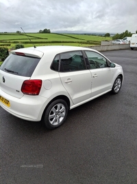 Volkswagen Polo 1.2 TDI Match 5dr in Antrim