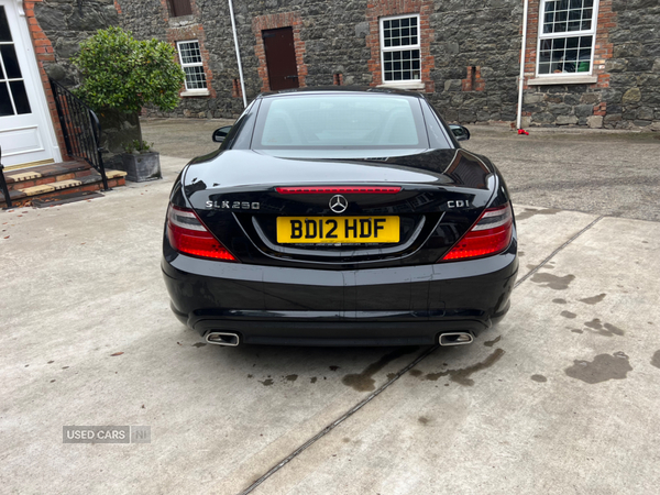 Mercedes SLK-Class DIESEL ROADSTER in Antrim