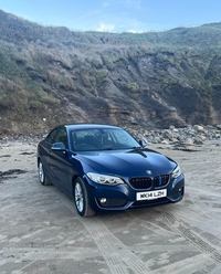 BMW 2 Series 220i SE 2dr in Tyrone