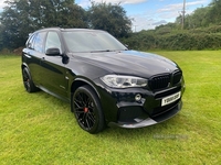 BMW X5 xDrive30d M Sport 5dr Auto in Armagh