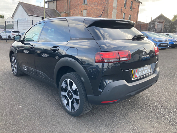 Citroen C4 Cactus DIESEL HATCHBACK in Antrim