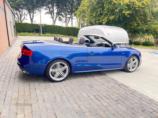 Audi A5 CABRIOLET SPECIAL EDITIONS in Tyrone