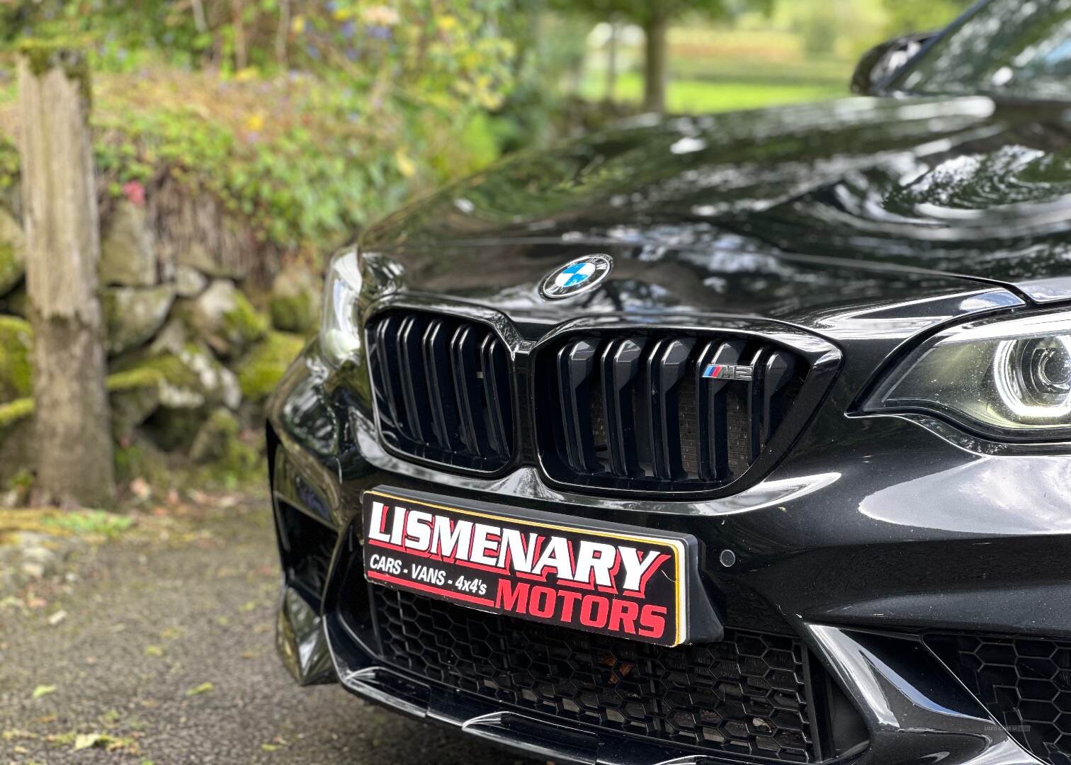 BMW M2 COUPE in Antrim