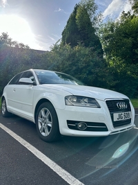 Audi A3 1.6 TDI SE 3dr in Down