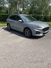 Ford Kuga 1.5 EcoBlue ST-Line Edition 5dr in Down