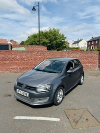 Volkswagen Polo 1.4 SE 3dr DSG in Antrim