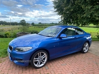 BMW 2 Series 218i M Sport 2dr in Antrim