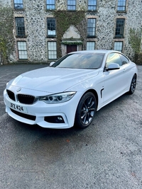 BMW 4 Series 420d [190] M Sport 2dr [Professional Media] in Antrim