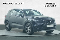 Volvo XC40 T3 INSCRIPTION in Antrim