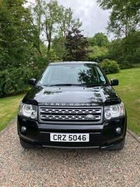 Land Rover Freelander 2.2 TD4 GS 5dr in Down