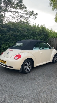 Volkswagen Beetle 1.6 Luna 2dr in Down