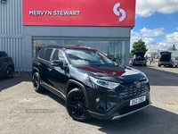 Toyota RAV4 2.5 VVT-i Hybrid Excel 5dr CVT 2WD in Antrim